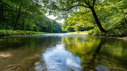 Peaceful river running through green forest with calm reflections and soft sunlight