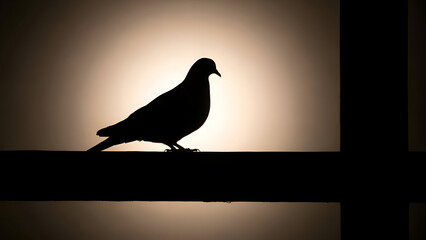 Silhouette of a pigeon perched on a wooden beam against a softly lit wall, creating a minimalist and contemplative scene.