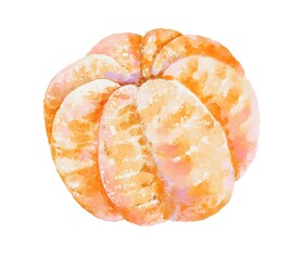 Whole peeled mandarin, hand painted in watercolor on a white background. Perfect for food illustrations, citrus themes, kitchen decor, fresh fruit designs and natural botanical artwork