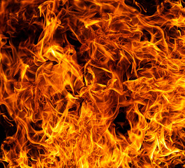 Burning flame texture ideal for powerful overlays. Inferno effect with vivid swirling flame. Fire abstract background featuring dynamic flame shapes. Glowing flames rising on deep black background.