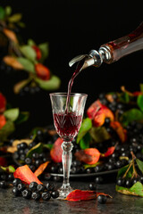 Black chokeberry liqueur and fresh berries on a black table.