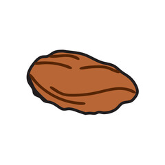 chocolate chip and peanut butter cookie vector illustration isolated on white