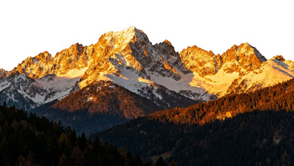 Snow-capped mountain range illuminated by golden sunlight at sunrise or sunset, with forested slopes in the foreground