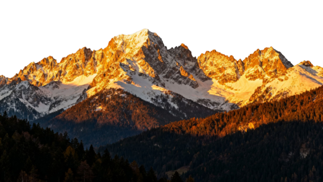 Snow-capped mountain range illuminated by golden sunlight at sunrise or sunset, with forested slopes in the foreground