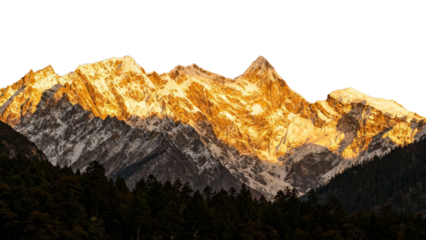 Golden sunlight illuminates snow-capped mountain peaks above a dense forest at dawn