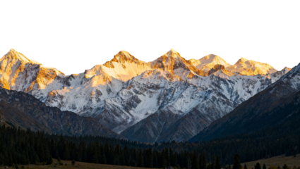Snow-capped mountain range illuminated by golden sunlight at sunrise or sunset, with dense forest in the foreground