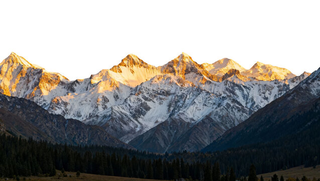 Snow-capped mountain range illuminated by golden sunlight at sunrise or sunset, with dense forest in the foreground