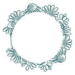 Round frame with daisy flowers and stems. Vector round frame with flowers in line art style. Trendy colors used. Botanical illustration.