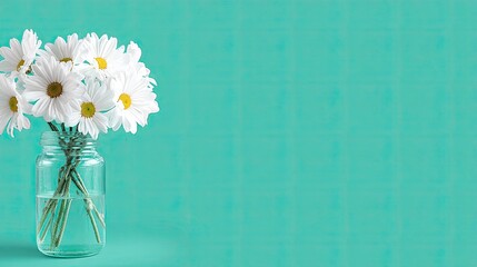 Obraz premium Fresh white daisies bloom in a clear glass jar against a turquoise background.