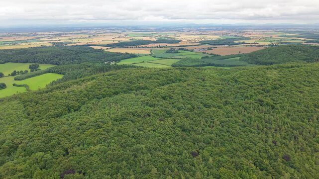 Rolling Countryside, Woodlands and the Lush Green Landscape of the Irish Midlands.