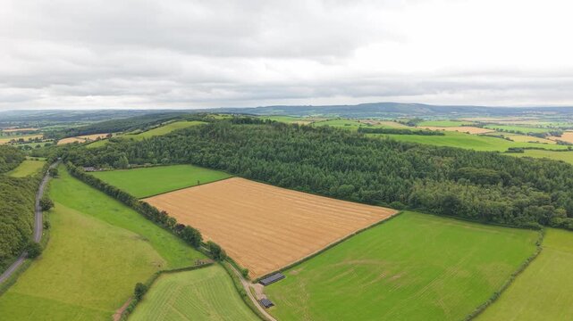 Aerial View of Patchwork Green Fields and Woodlands in County Laois, Ireland.