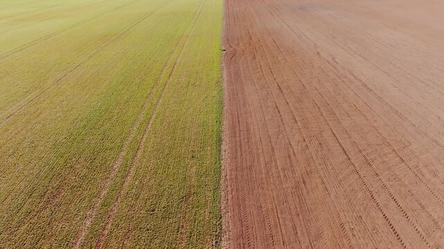 Spring farmland symmetry captured in forward-moving cinematic perspective