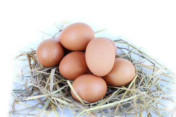 Brown eggs resting on straw bundle, clean white background, simple and organic style.