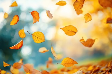The vibrant autumn leaves are scattered across the ground, painting a picture of a serene day in the park.