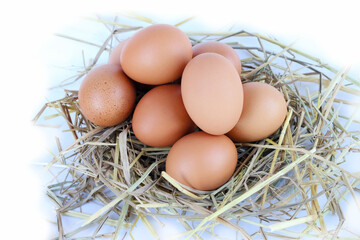 Neat pile of straw holding fresh eggs, isolated on white, minimal and natural composition.
