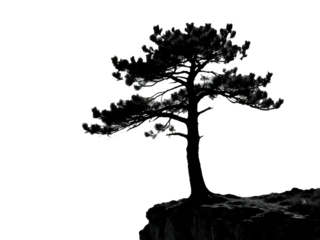 Silhouette of a lone pine tree growing on a rocky cliff against a white background