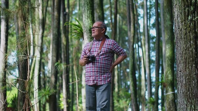 Mature man capturing stunning nature shots with camera amidst serene forest landscape