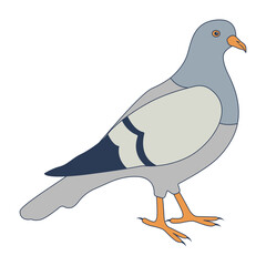 Pigeon Cartoon Character. Isolated Vector Illustration.