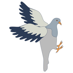 Pigeon Cartoon Character. Isolated Vector Illustration.