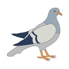 Pigeon Cartoon Character. Isolated Vector Illustration.