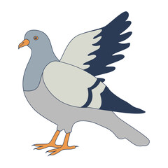 Pigeon Cartoon Character. Isolated Vector Illustration.