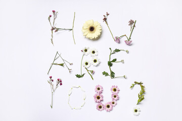 Text HOW ARE YOU? made of beautiful spring flowers on white background