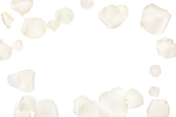Frame made of flying rose petals isolated on white background, closeup