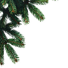 Obraz premium Green coniferous evergreen Christmas tree branch with pine cones, isolated for holiday decoration