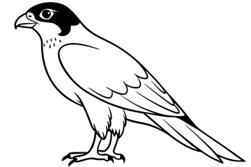 Obraz premium falcon silhouette black and white line art on white background