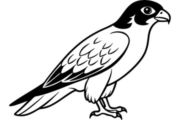 Obraz premium falcon silhouette black and white line art on white background