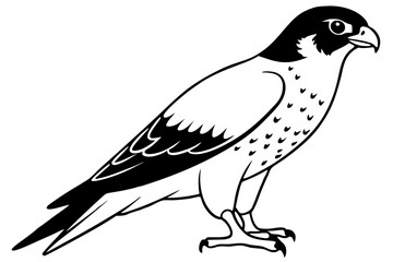 Obraz premium falcon silhouette black and white line art on white background