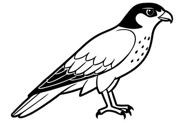 Obraz premium falcon silhouette black and white line art on white background