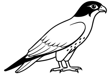 Obraz premium falcon silhouette black and white line art on white background