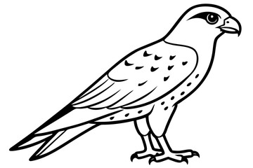 Obraz premium falcon silhouette black and white line art on white background