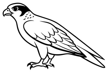 Obraz premium falcon silhouette black and white line art on white background