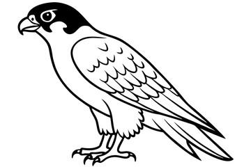 Obraz premium falcon silhouette black and white line art on white background