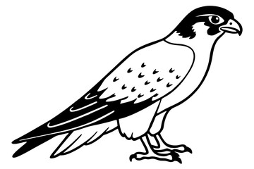 Obraz premium falcon silhouette black and white line art on white background