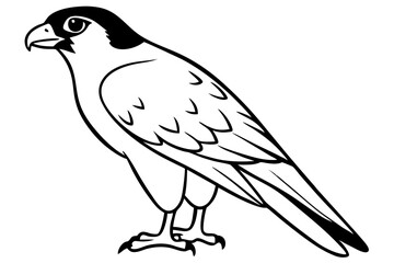 Obraz premium falcon silhouette black and white line art on white background