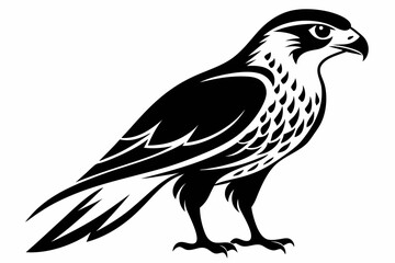 Obraz premium falcon silhouette black and white on white background
