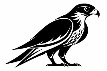 Obraz premium falcon silhouette black and white on white background