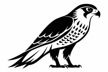 Obraz premium falcon silhouette black and white on white background