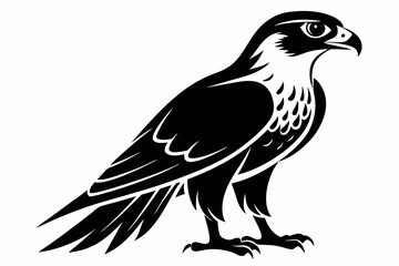 Obraz premium falcon silhouette black and white on white background