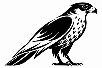 Obraz premium falcon silhouette black and white on white background