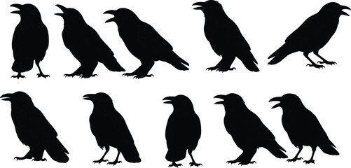 Fototapeta premium Silhouette illustration of standing ravens and crows in various poses, showcasing detailed bird shapes for wildlife design, decoration, and creative artwork