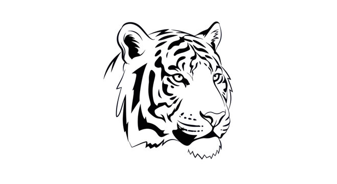 Minimalist black and white tiger illustration emphasizing feline grace and strength