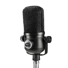 Professional Studio Microphone on Stand Isolated on White Background for Recording and Broadcasting