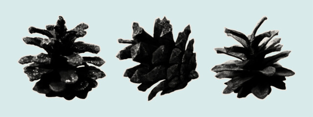Set of pine cones. Contemporary art collage of paper cutout elements for scrapbooking. Vintage wood texture, halftone style, craft collection. Spruce cedar cone stickers. Vector illustration.