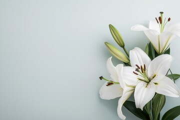 Fototapeta premium White lily flowers blooming with green buds, creating a serene floral border on a soft pastel background with ample copy space