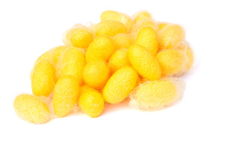 Golden cocoon, silk moth, golden silkworm