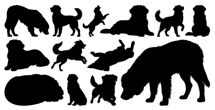 Bernese Mountain Dog Silhouettes Vector Set of Various Poses Black Pet Animal Collection Isolated, Transparent Background